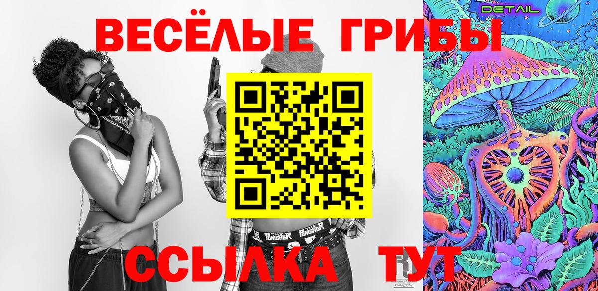 Галлюциногенные грибы MAGIC MUSHROOMS  Псилоцибиновые грибы Magic Shrooms  Вход с VPN  Борзя 